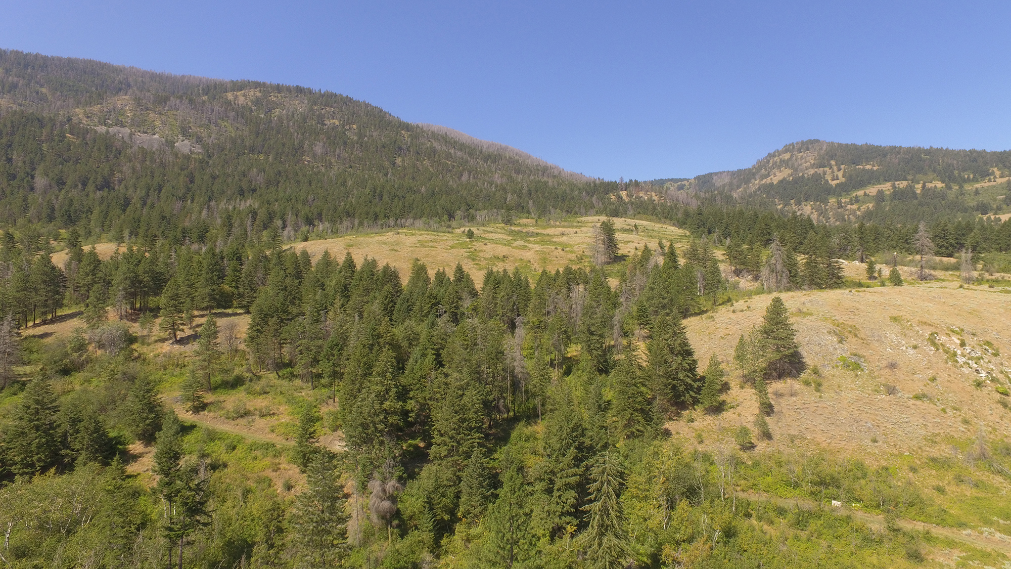 Large property for sale in the South Okanagan