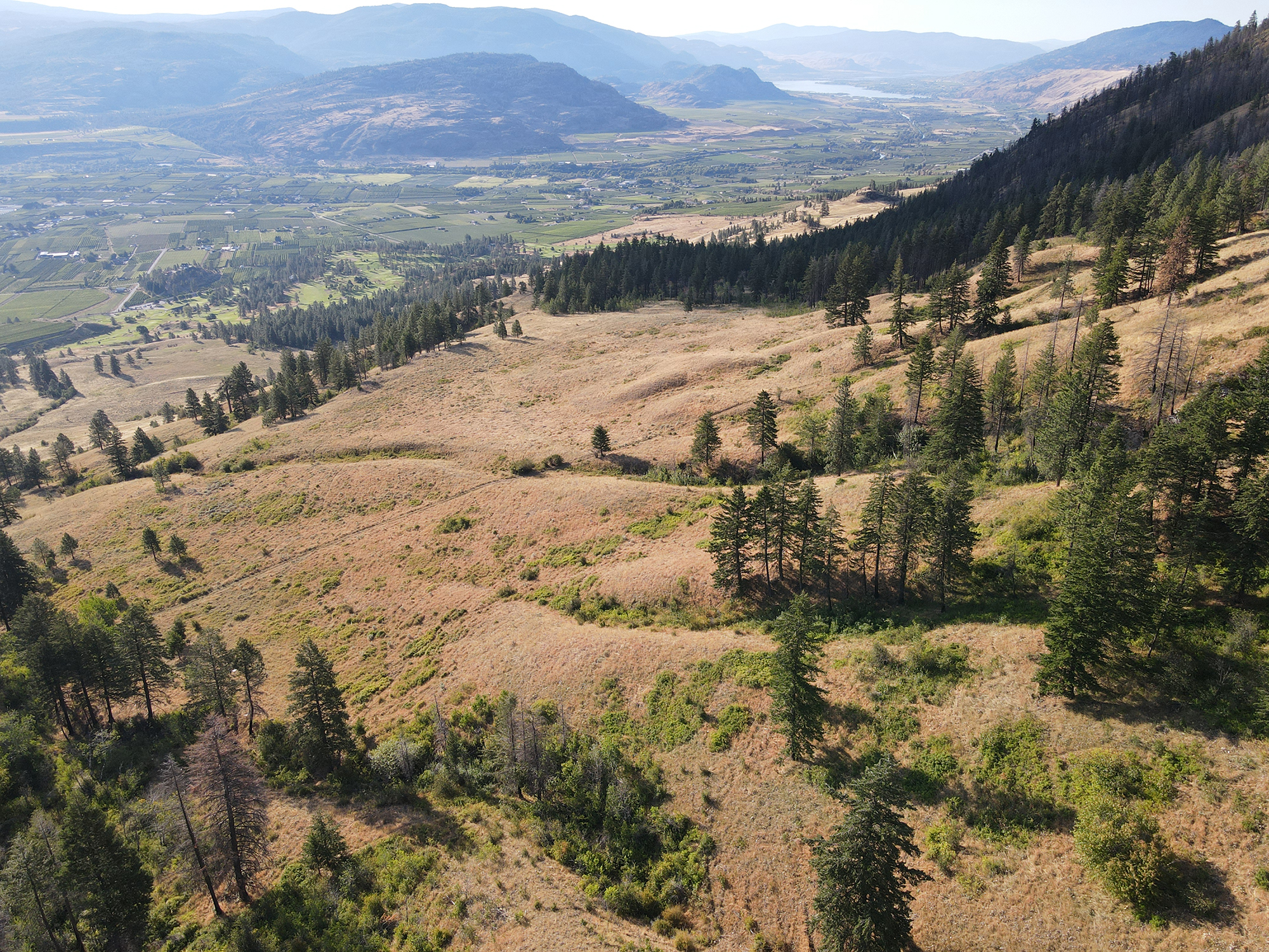 Large property for sale in the South Okanagan