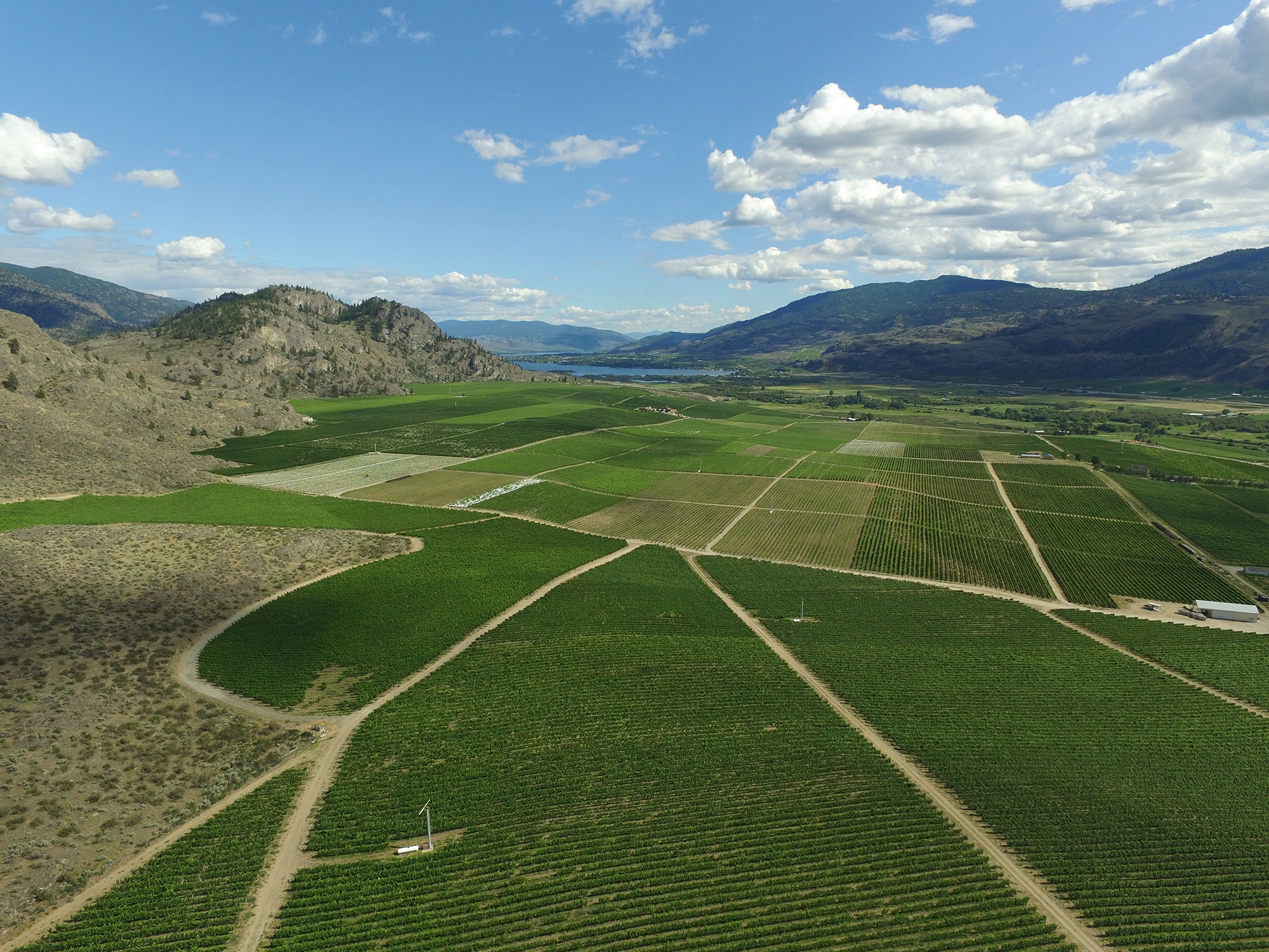 Large property for sale in the South Okanagan