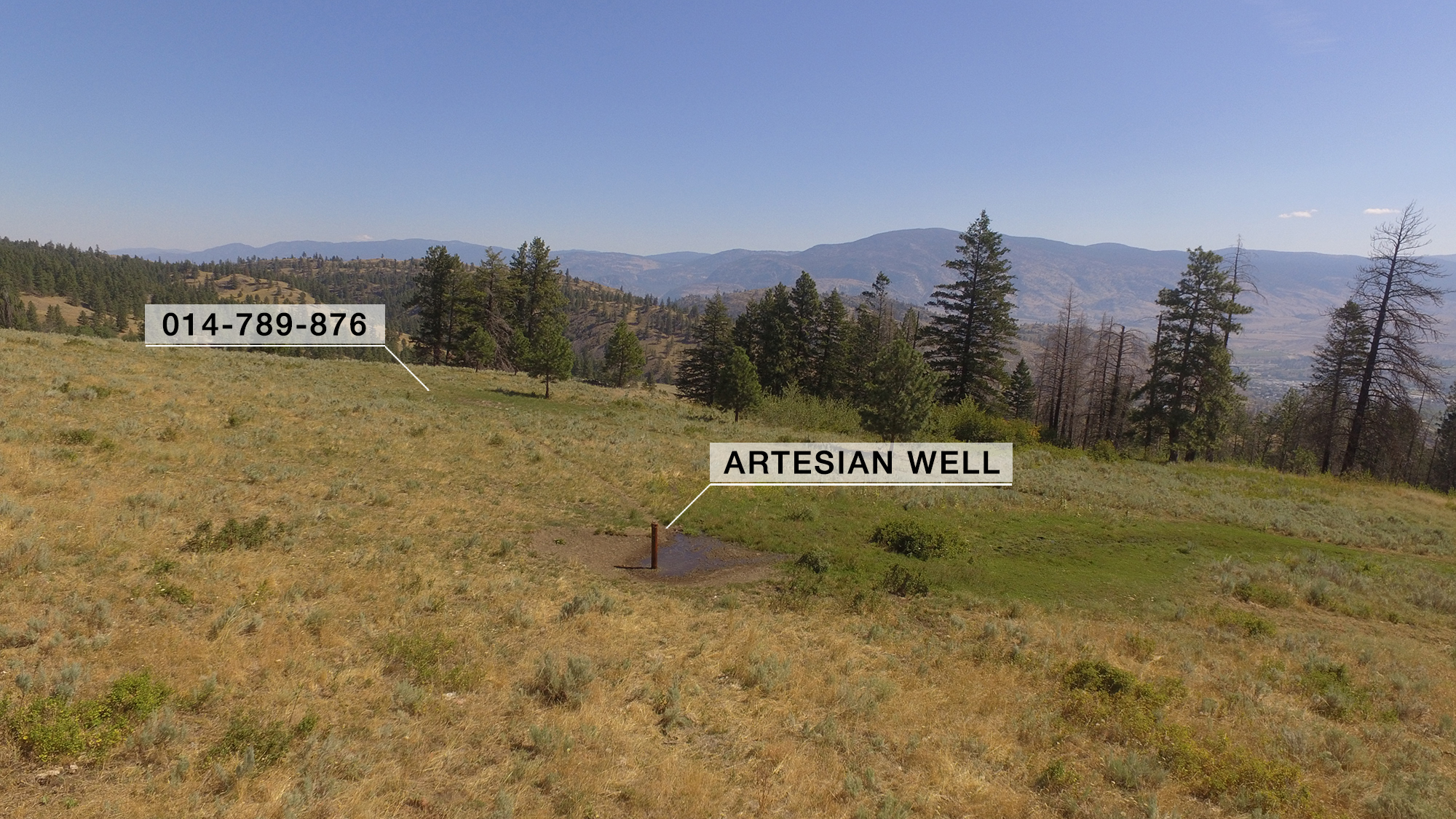 Large property for sale in the South Okanagan